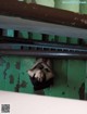 A woman laying on the ground in an abandoned building.